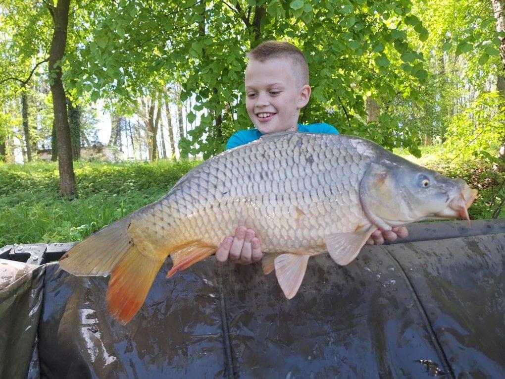 Domki Pod Debami Mojecice Kültér fotó